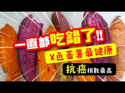 你一直都吃錯了! 😱 | X色蕃薯最健康🍠 | 防癌功效最高👆🏻 | #紫薯 #紫心蕃薯 #紅肉蕃薯 #黃肉蕃薯 #日本金時蕃薯 | 美麗新香講 | CC中文字幕 | TVBean