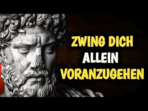 🌟 WIE DU VORANKOMMST, AUCH WENN NIEMAND AN DEINER SEITE STEHT | STOIZISMUS