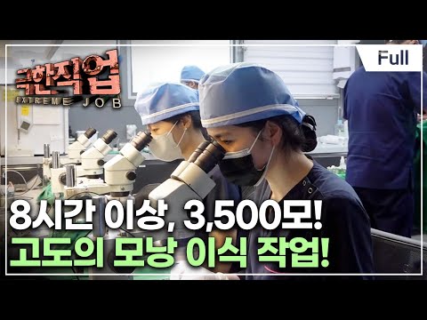 [Full] 극한직업 - 탈모 고민 해결사