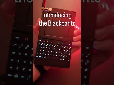 The Blackpants #flipperzero #cybersecurity #hacking 💀