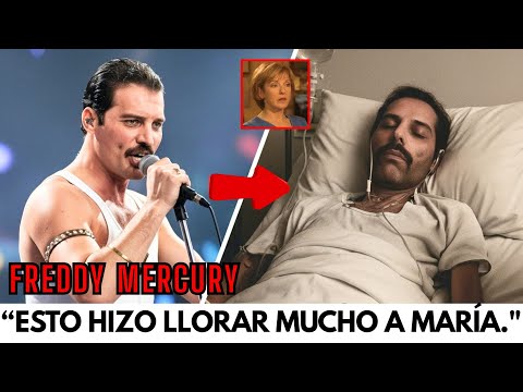 A SUS 73 AÑOS, MARY REVELA LAS 7 PALABRAS QUE FREDDIE MERCURY LE DEJÓ ANTES DE MORIR – ¡IMPACTANTE!.