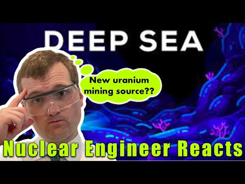 Is the Sea Full of Uranium? - Nuclear Engineer Reacts to Kurzgesagt