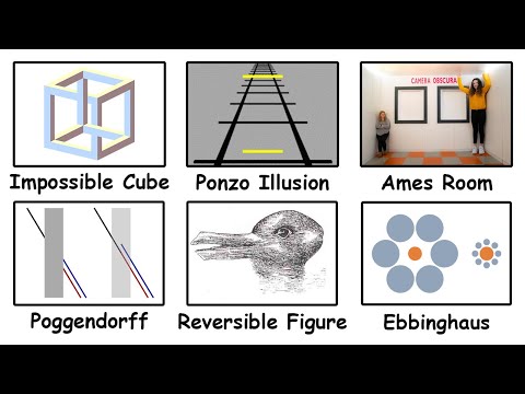 Every Optical Illusion in 8 Minutes