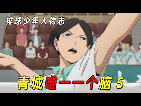排球少年里最小的选手！青城唯一一个脑5！长着一张二传脸的头脑派主攻手！