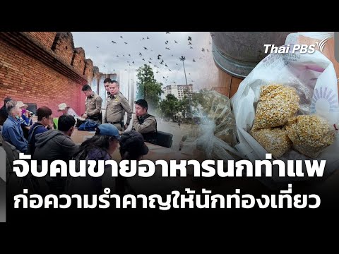 Bird food vendor at Tha Pae Gate arrested for nuisance to tourists | Wan Mai Thai PBS | December ...