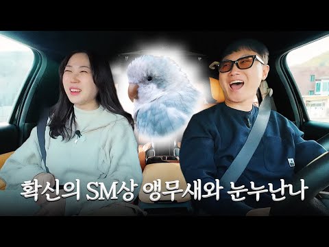 앵무새 골반이 멈추지 않는 탓일까? ㅜ.ㅜㅣ꼬순내택시 EP.6 내새꾸꾸