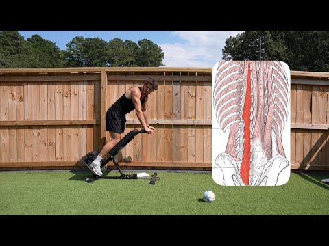 how to CURE back pain.