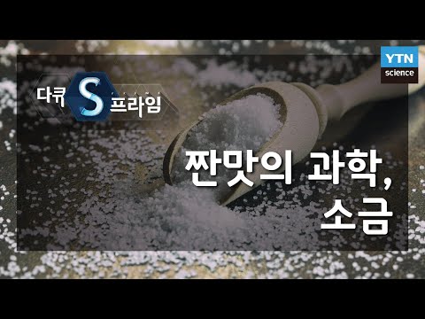 짠맛의 과학, 소금 [다큐S프라임] / YTN 사이언스