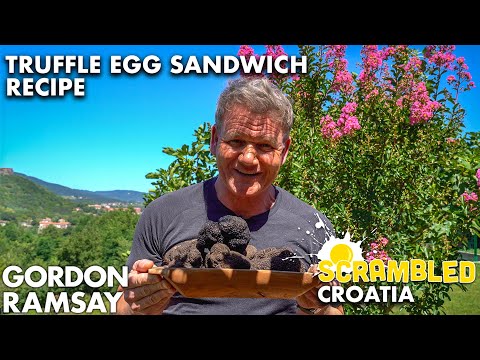 Gordon Ramsay Makes a Truffle Egg Sandwich in Croatia | Scrambled