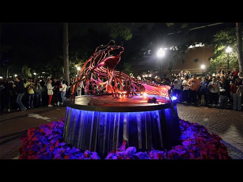 Lighting of the Gator