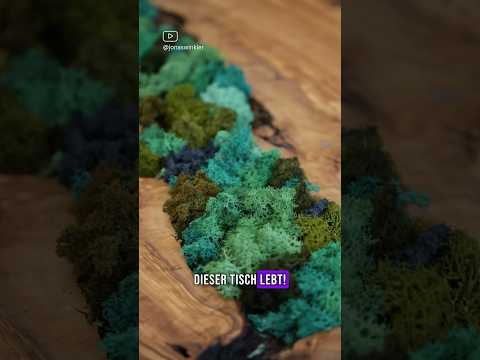 OMG! 😲🤩 | Jonas Winkler #shorts #selberbauen #holz