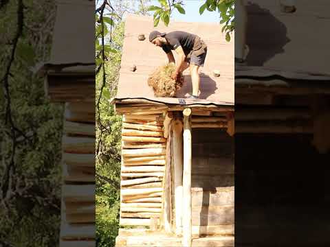 Bushcraft solo #camping  #bushcraft #survival #building Part - 4