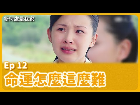 大愛劇《新何處是我家》EP12 #吳婉君 #翁家明 #朱陸豪