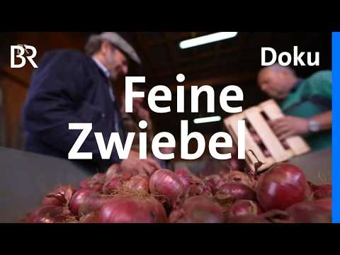 Zwiebelsorten und Rezepte: Der Schmidt Max und die Zwiebel | freizeit | BR