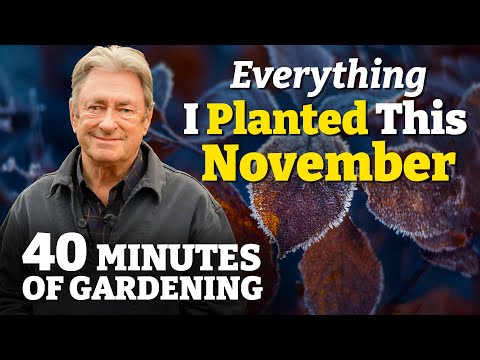 Episode 8: November - Essential Winter Prep & the Quiet Joys of the Late-Autumn Garden