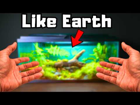 I Built a Predator Ecosystem (It's Brutal In There)