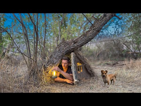 Construction of a cozy clay shelter under an old tree to survive from wild animals. Bushcraft