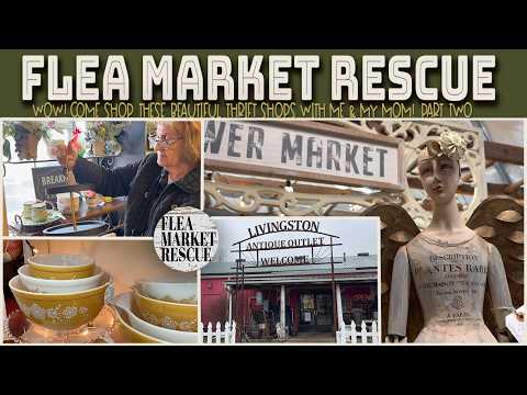 COME THRIFT STORE SHOPPING IN BRIGHTON FOR THRIFTED HOME DECOR THAT WE CAN RESELL- PART 2