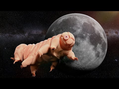 이 어마무시한 생명체는 정말 외계에서 왔을지도 모릅니다...