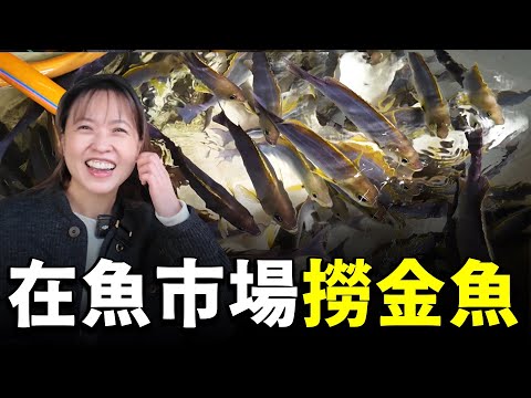 要買活魚就來這裡！猩弟把基隆和平島魚港市場逛成夜市撈魚！大家想體驗看看嗎？這種螺肉牙齒不好千萬別吃...