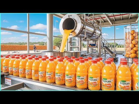 How Orange Juice Is Made in the Factory | Millions of Gallons Produced Every Day
