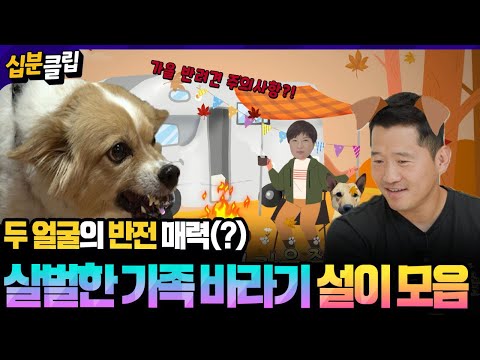 [#십분클립] 포동포동 귀여운 설이?💛으르렁 이빨 드러내는 설이!💥 두 얼굴의 반전 가지고 있는, 살벌한 가족 바라기 설이 모음🥶👁‍🗨ㅣ KBS방송