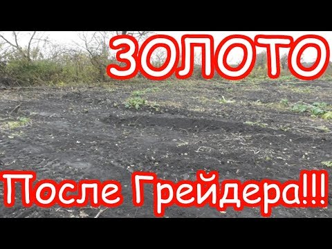 ЗОЛОТО ПОСЛЕ ПРОХОДА ГРЕЙДЕРА ПО ФУНДАМЕНТАМ!!!МНОГО МОНЕТ!!!ВОТ ЭТО ВЕЗЕТ!!!