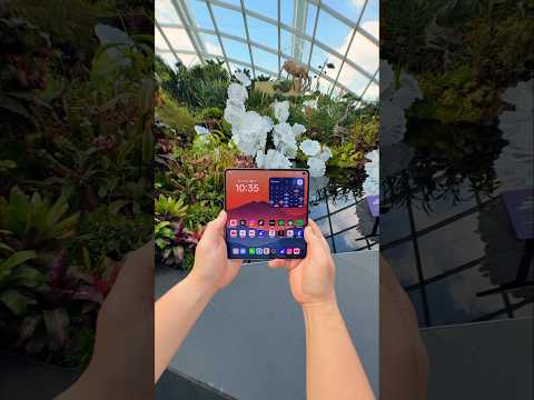 Oppo Find N5 Camera 3X Telephoto Macro Test