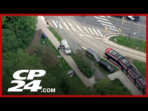 Toronto police looking for help identifying suspect in High Park sexual assault