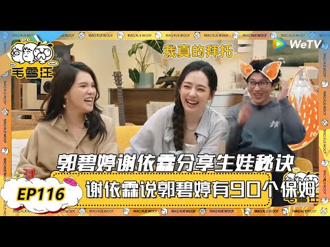 【2025年EP116期完整版】全是瓜！谢依霖曝郭碧婷生娃有90个保姆带孩子！毛不易补刀：89个！ |《毛雪汪2025年春日》 #综艺 #毛雪汪 #李雪琴 #毛不易  #谢依霖 #郭碧婷