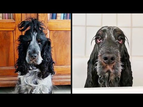 Baths Aren't For Everyone