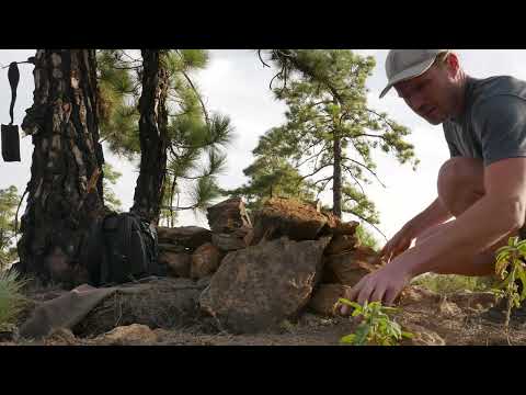 Going Off TRAIL on Tenerife: Night In The Mountains