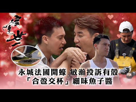 空運世一｜永城法國開蠔 敏瀚投訴有殼  「合巹交杯」細味魚子醬｜旅行 空運｜TVB綜藝