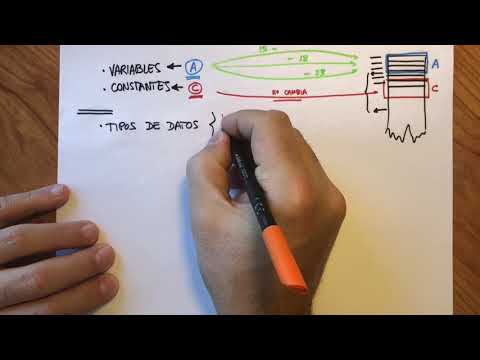 Programación: Elementos Básicos