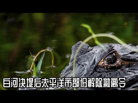 西雅图新闻快递 - 2025-12-17 晚间新闻