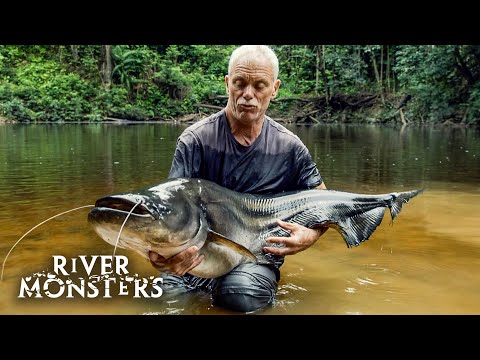 River Monsters Full Episode - Season 9, Episode 3 - Malaysian Lake Monster