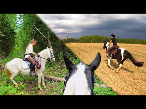 Конная прогулка | На поиски новых мест! 🌿| КоноVLOG от первого лица