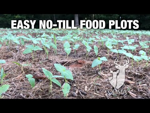 Easy No-till Food Plots -- Whitetail Weekend Seminar