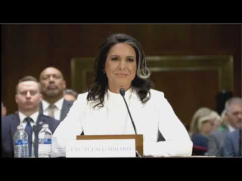 Tulsi Gabbard pressed on Edward Snowden comments by Senators at confirmation hearing