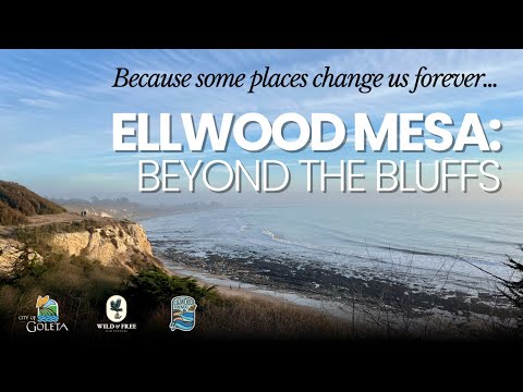 "Ellwood Mesa: Beyond the Bluffs" Short Film