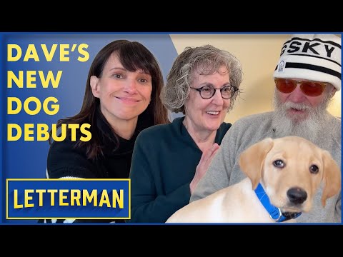 Dave's New Dog Makes His Debut | David Letterman