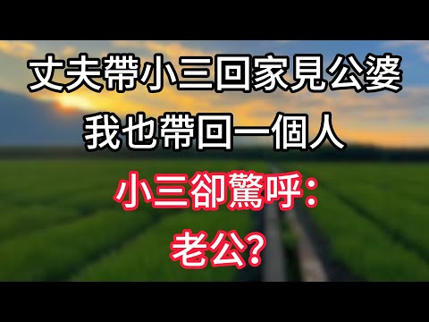 【完結】丈夫帶小三回家見公婆，我也帶回一個人，小三卻驚呼：老公？