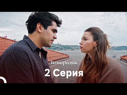 Зимородок 2 Cерия (Русский дубляж)(Длинная Bерсия)