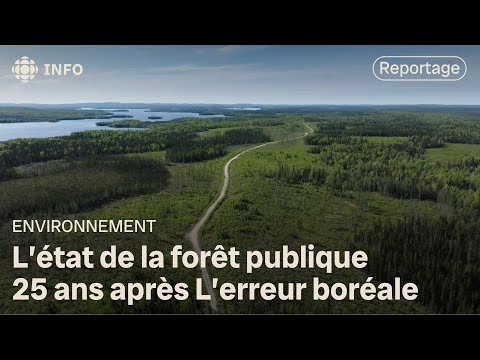 L’état de la forêt publique, 25 ans après « L’erreur boréale » | La semaine verte