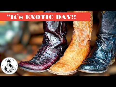 Exotic Day today, Alligator(Belly)Lucchese, Ostrich TonyLama and hornback gator no name boots #369