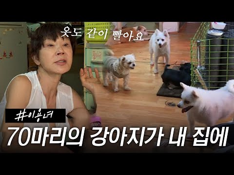 [스페셜] 여배우 이용녀가 집 안에 개 70마리를 데리고 사는 이유 #특종세상