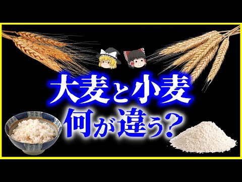 [Slow explanation] Actually, they are completely different plants...!? What is the difference bet...