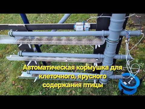 Автоматическая кормушка для клеточного, ярусного седержания куриц #автокормушка #курица #перепелки 
