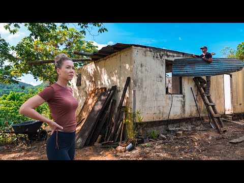 Everything we Built on 8 acres of Abandoned Land (YEAR TWO)