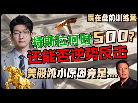 特斯拉何时500?还能否逆势反击?美股跳水原因竟是...!#TSLA#美股